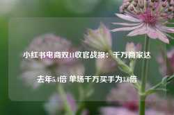 小红书电商双11收官战报：千万商家达去年5.4倍 单场千万买手为3.6倍-第1张图片-新能源