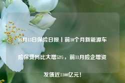 11月13日保险日报丨前10个月新能源车险保费同比大增53%，前11月险企增资发债近1100亿元！-第1张图片-新能源