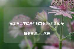 京东第三季度净产品营收2046.13亿元 净服务营收557.74亿元-第1张图片-新能源