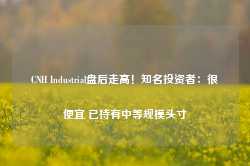 CNH Industrial盘后走高！知名投资者：很便宜 已持有中等规模头寸-第1张图片-新能源