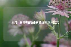 11月14日市场两融余额缩水75.66亿元-第1张图片-新能源