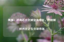 英媒：越南芯片封测业务增长，供给侧碎片化正在分裂市场-第1张图片-新能源