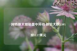 阿特斯太阳能盘中异动 股价大跌5.10%报11.17美元-第1张图片-新能源