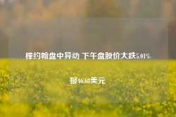 棒约翰盘中异动 下午盘股价大跌5.01%报46.68美元-第1张图片-新能源