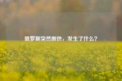 俄罗斯突然断供，发生了什么？-第1张图片-新能源