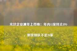 光伏企业凛冬上市难：年内15家终止IPO，剩余排队不足20家-第1张图片-新能源