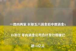 一周内两家 长银五八消金后中原消金ABS发行 年内消金公司合计发行规模已超144亿元-第1张图片-新能源