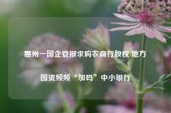 惠州一国企登报求购农商行股权 地方国资频频“加码”中小银行-第1张图片-新能源