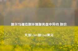 佩尔马福克斯环境服务盘中异动 股价大涨5.16%报13.65美元-第1张图片-新能源